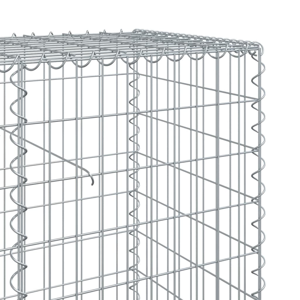 Gabione mit Deckel 300x50x100 cm Verzinktes Eisen