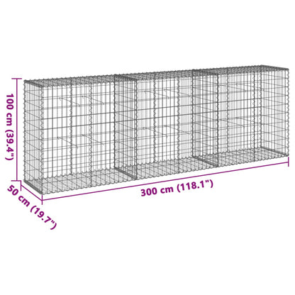 Gabione mit Deckel 300x50x100 cm Verzinktes Eisen