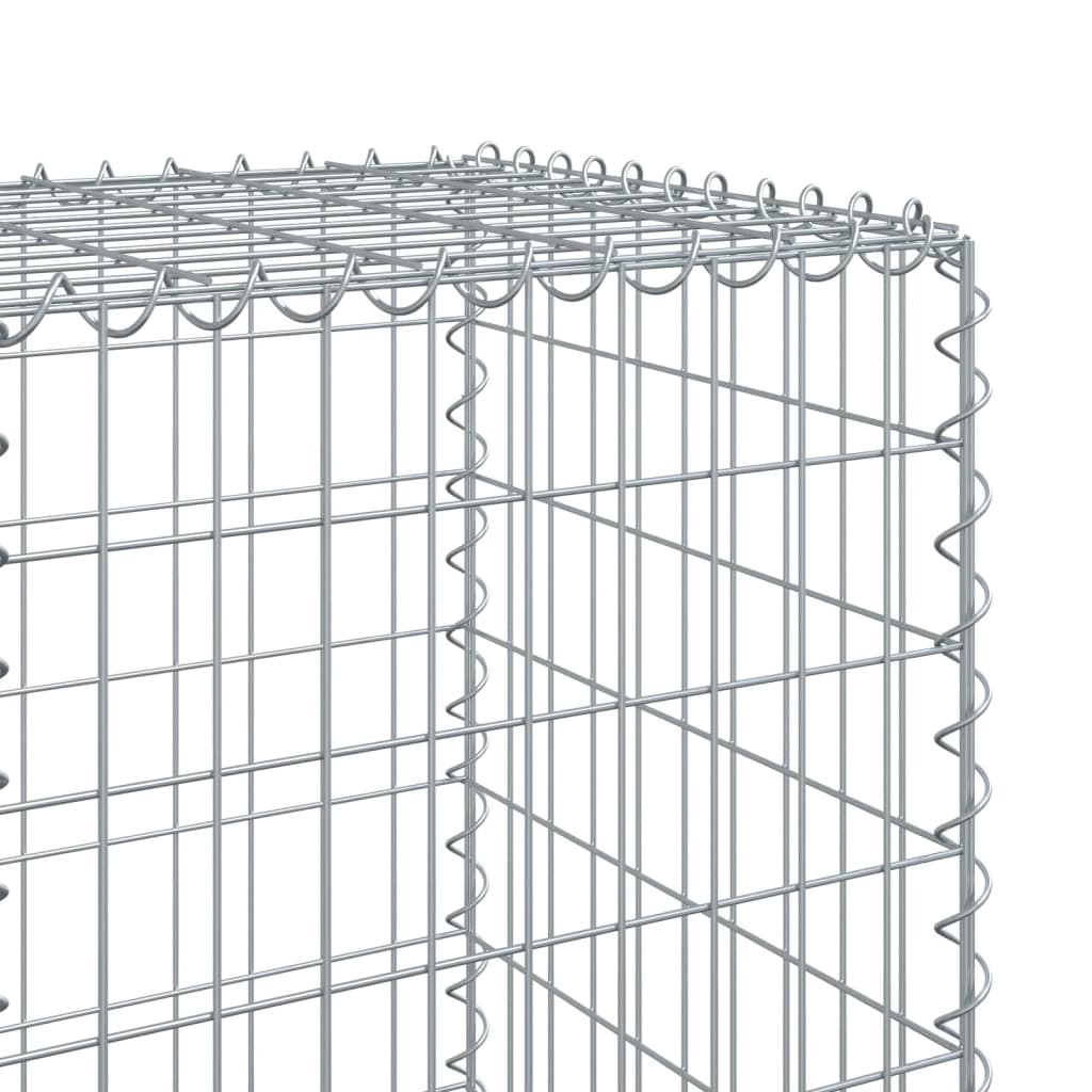 Gabione mit Deckel 200x50x150 cm Verzinktes Eisen