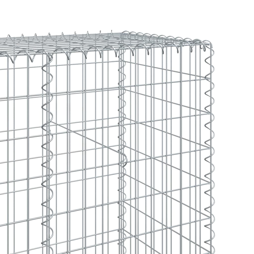 Gabione mit Deckel 100x50x200 cm Verzinktes Eisen