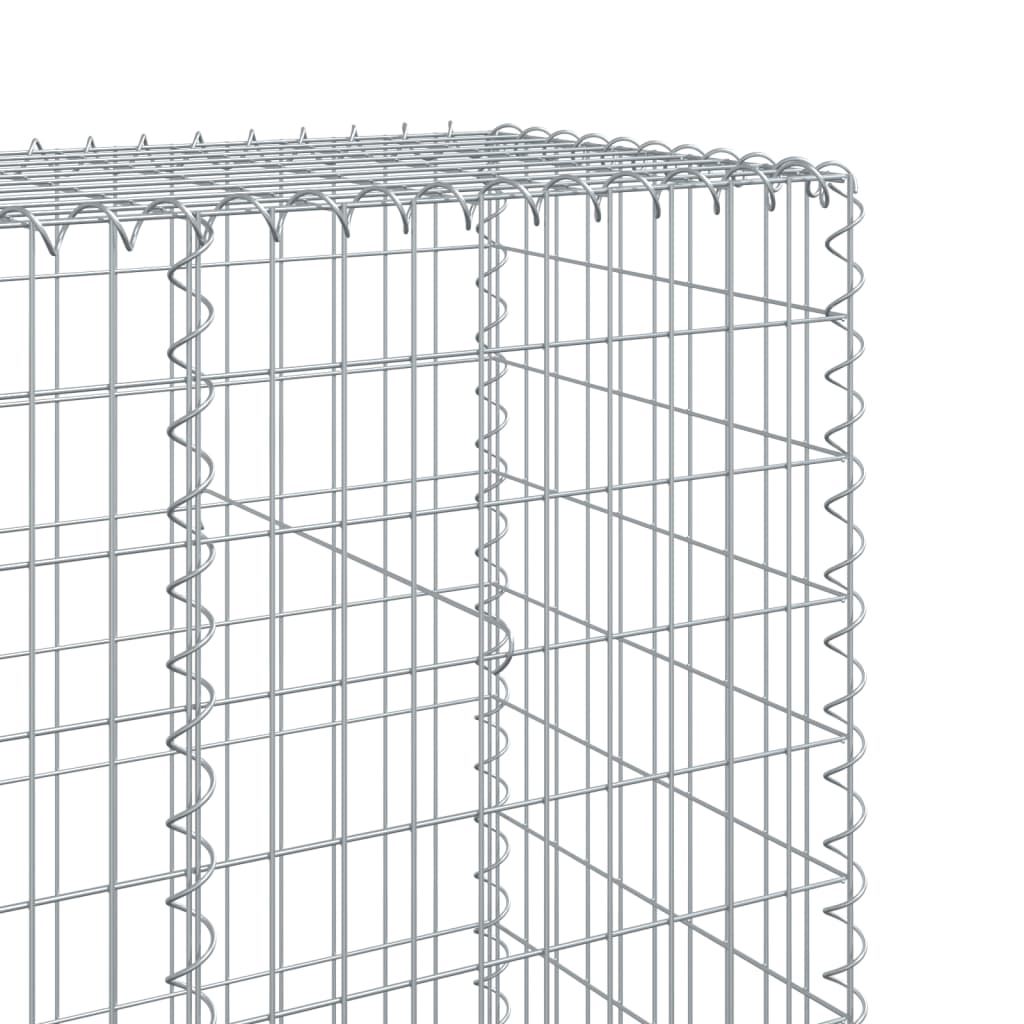 Gabione mit Deckel 300x50x200 cm Verzinktes Eisen