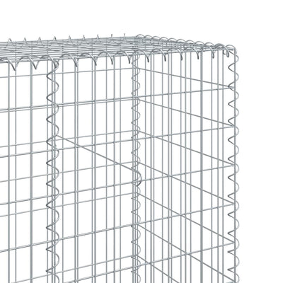 Gabione mit Deckel 300x50x200 cm Verzinktes Eisen