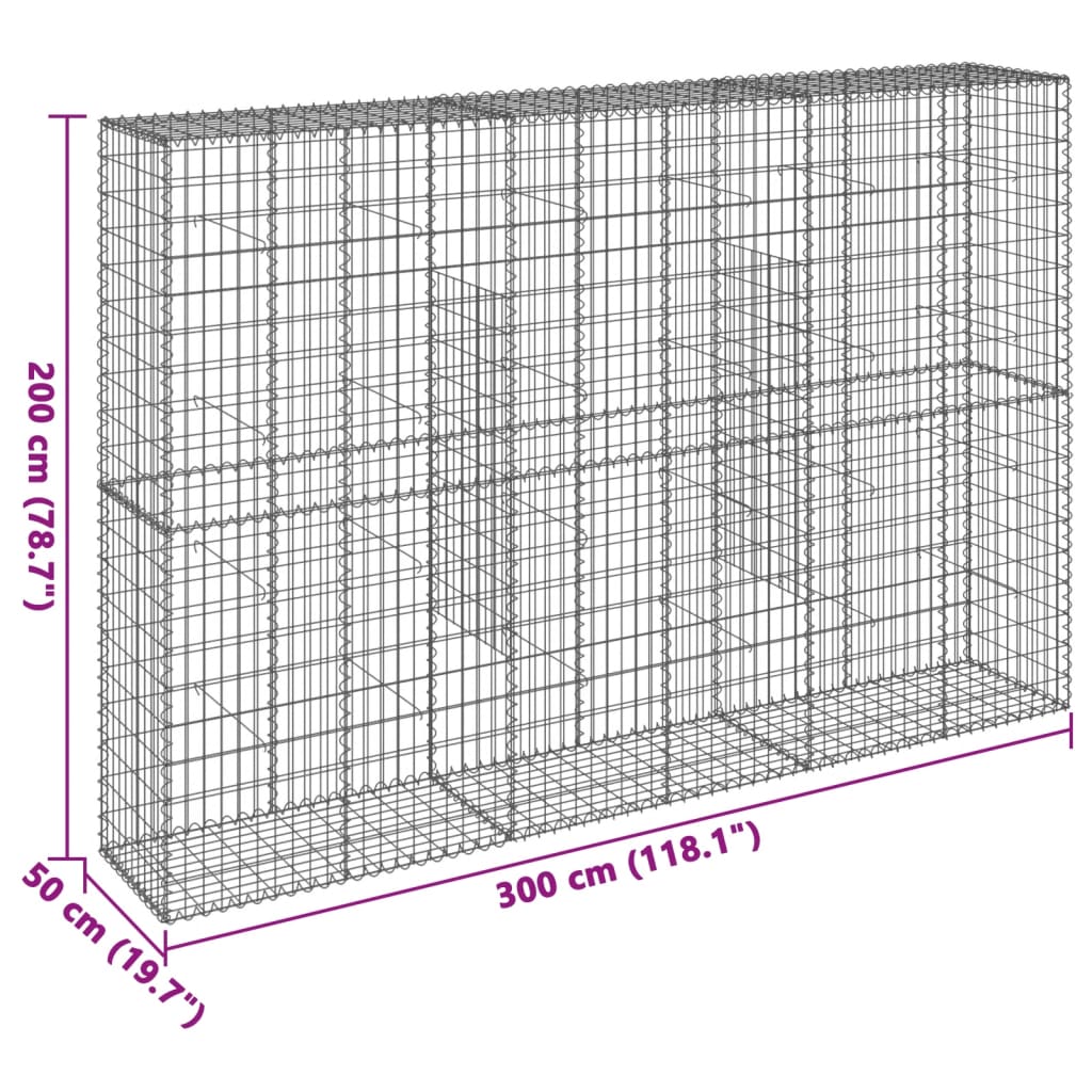 Gabione mit Deckel 300x50x200 cm Verzinktes Eisen