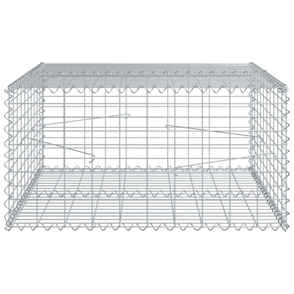 Gabione mit Deckel 100x100x50 cm Verzinktes Eisen