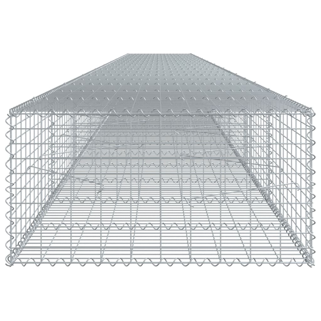 Gabione mit Deckel 1000x100x50 cm Verzinktes Eisen