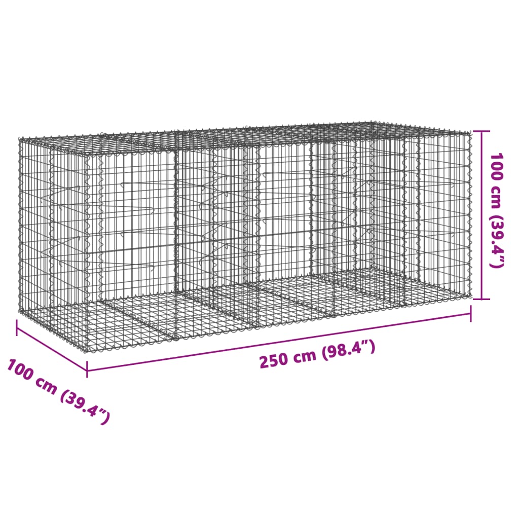 Gabione mit Deckel 250x100x100 cm Verzinktes Eisen