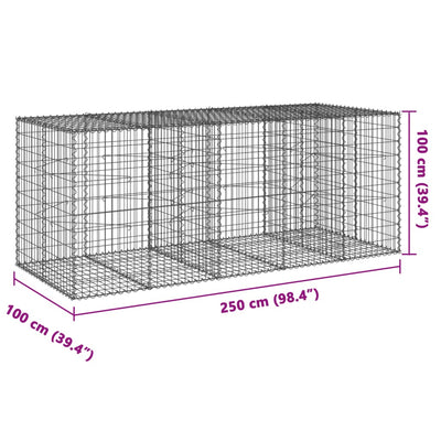 Gabione mit Deckel 250x100x100 cm Verzinktes Eisen