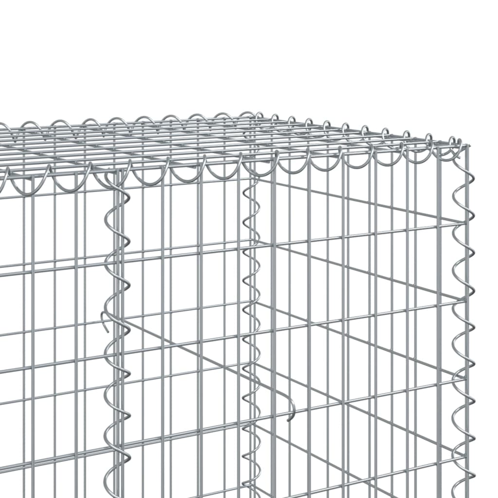 Gabione mit Deckel 500x100x100 cm Verzinktes Eisen