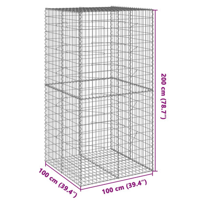 Gabione mit Deckel 100x100x200 cm Verzinktes Eisen