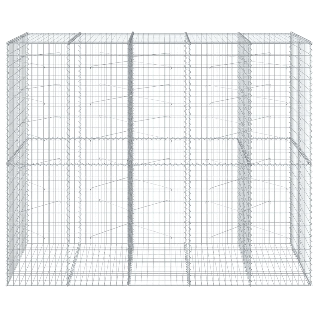 Gabione mit Deckel 250x100x200 cm Verzinktes Eisen