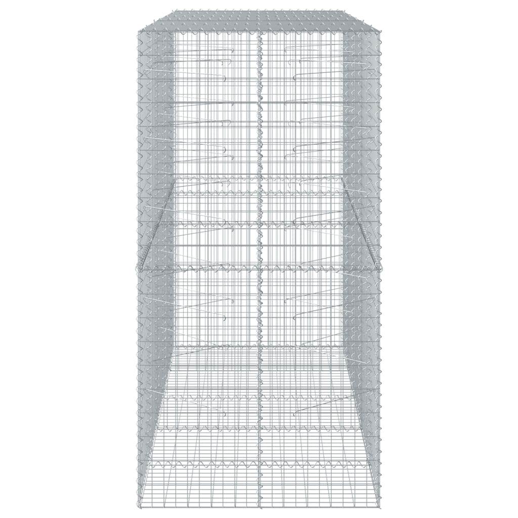 Gabione mit Deckel 250x100x200 cm Verzinktes Eisen