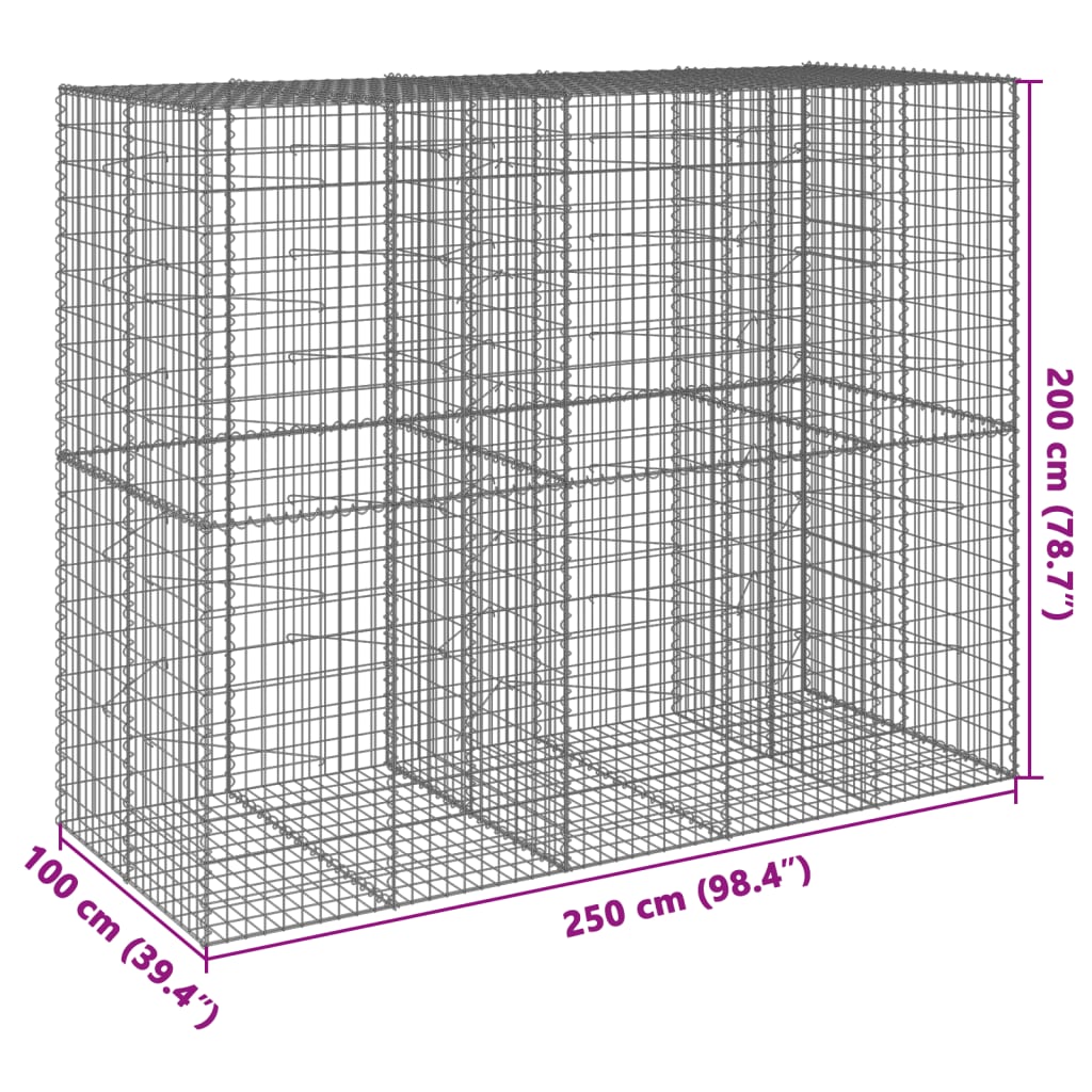 Gabione mit Deckel 250x100x200 cm Verzinktes Eisen