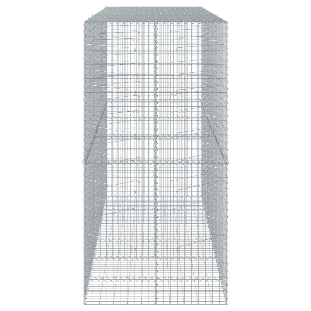 Gabione mit Deckel 300x100x200 cm Verzinktes Eisen