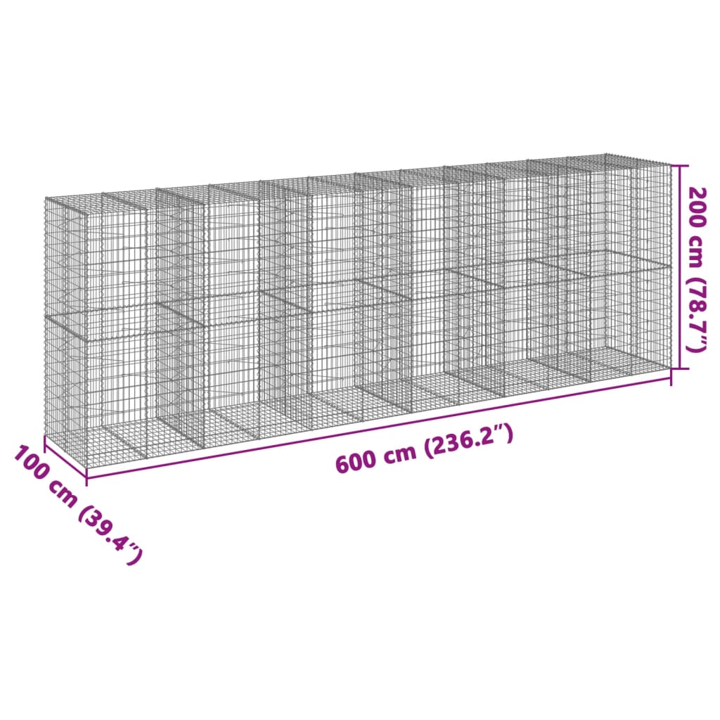 Gabione mit Deckel 600x100x200 cm Verzinktes Eisen