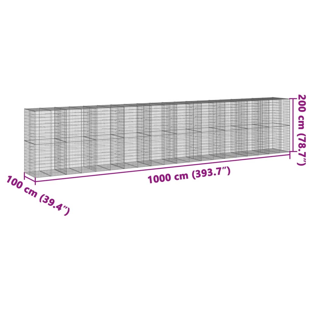 Gabione mit Deckel 1000x100x200 cm Verzinktes Eisen