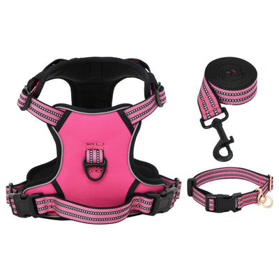 Hundegeschirr mit Leine & Halsband Verstellbar Rosa S