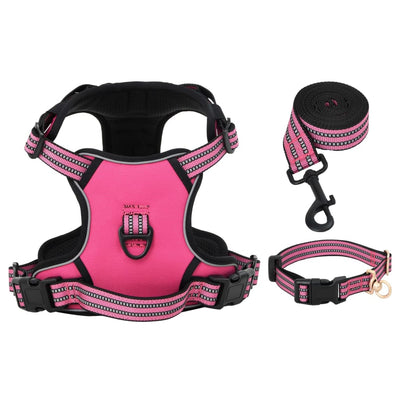 Hundegeschirr mit Leine & Halsband Verstellbar Rosa M