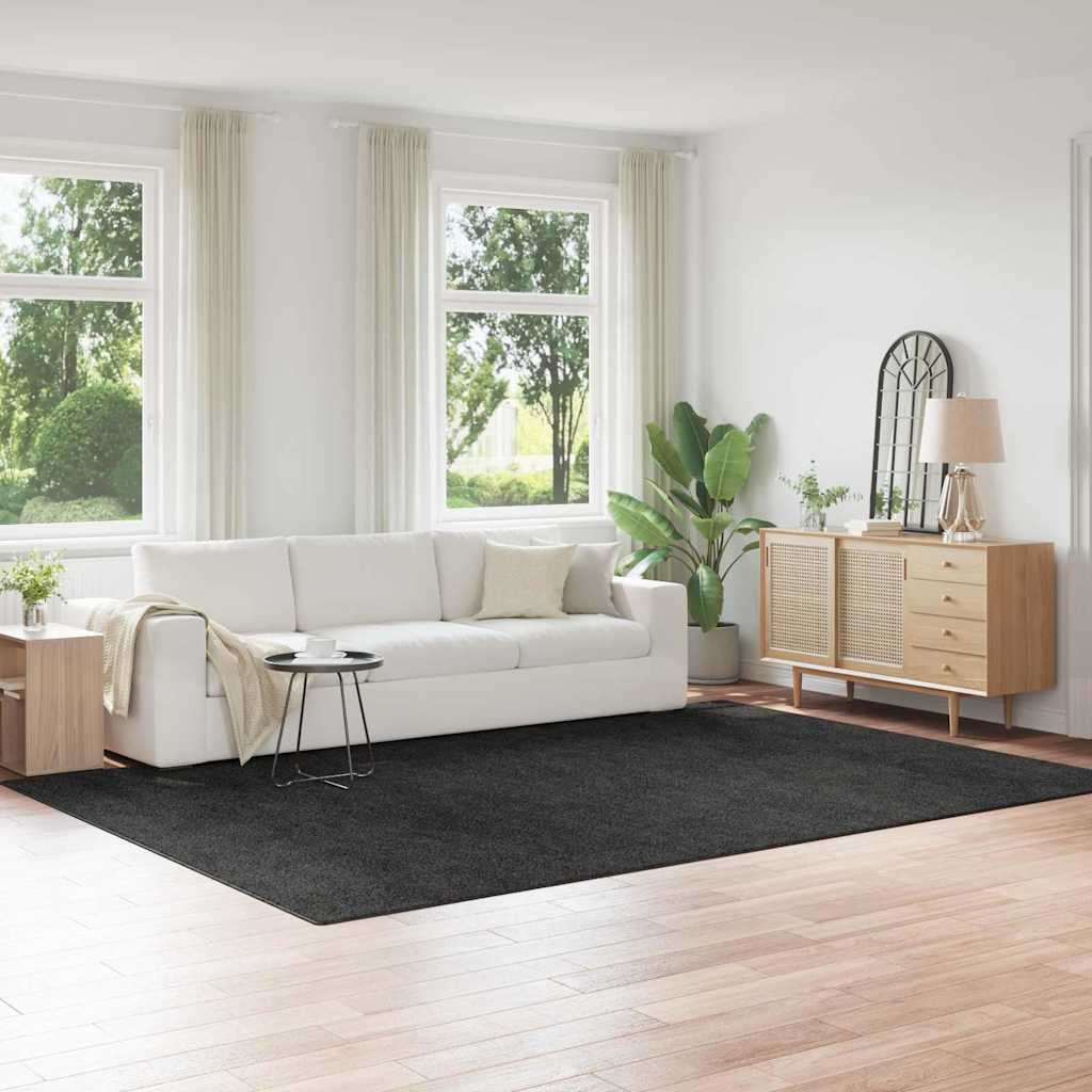 Anti-Rutsch Shaggy Teppich Dunkelgrau 240 x 340 cm PP