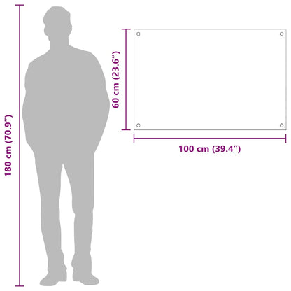 Küchenrückwand Hellgrau 100 x 60 x 0,6 cm Gehärtetes Glas