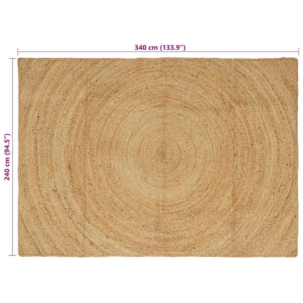 Bereichsteppiche Braun 240 x 340 cm Jute