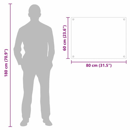 Küchenrückwand Schwarz 80 x 60 cm Gehärtetes Glas