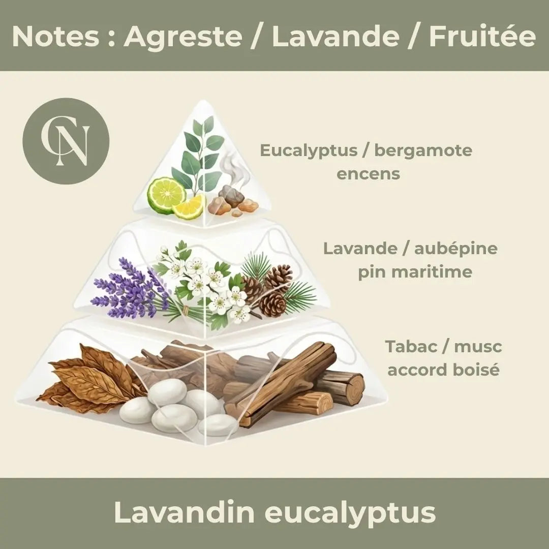 Respire – Aventurine Verte & Lavandin Eucalyptus