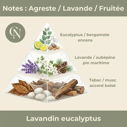 Respire – Aventurine Verte & Lavandin Eucalyptus
