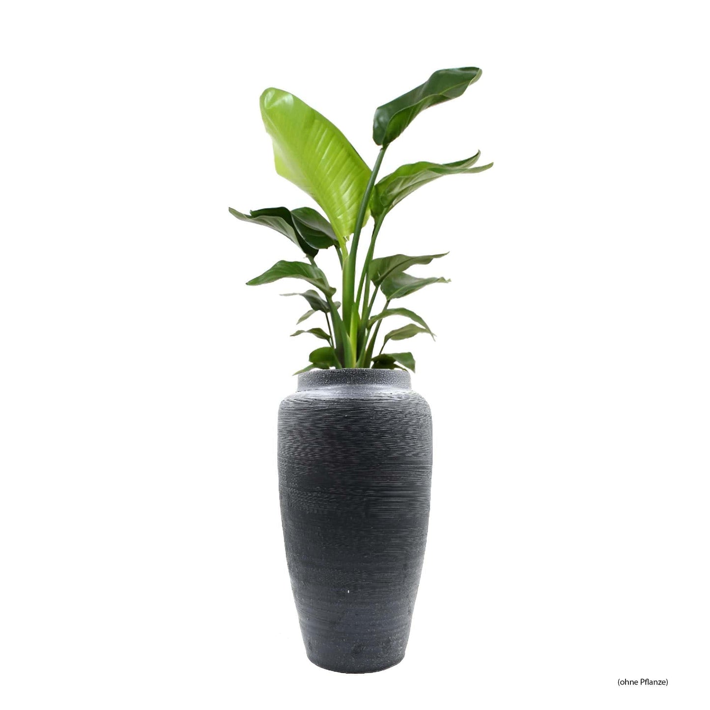 Ajax Vase – 33 x 13 cm, zeitloses Dekorationsobjekt