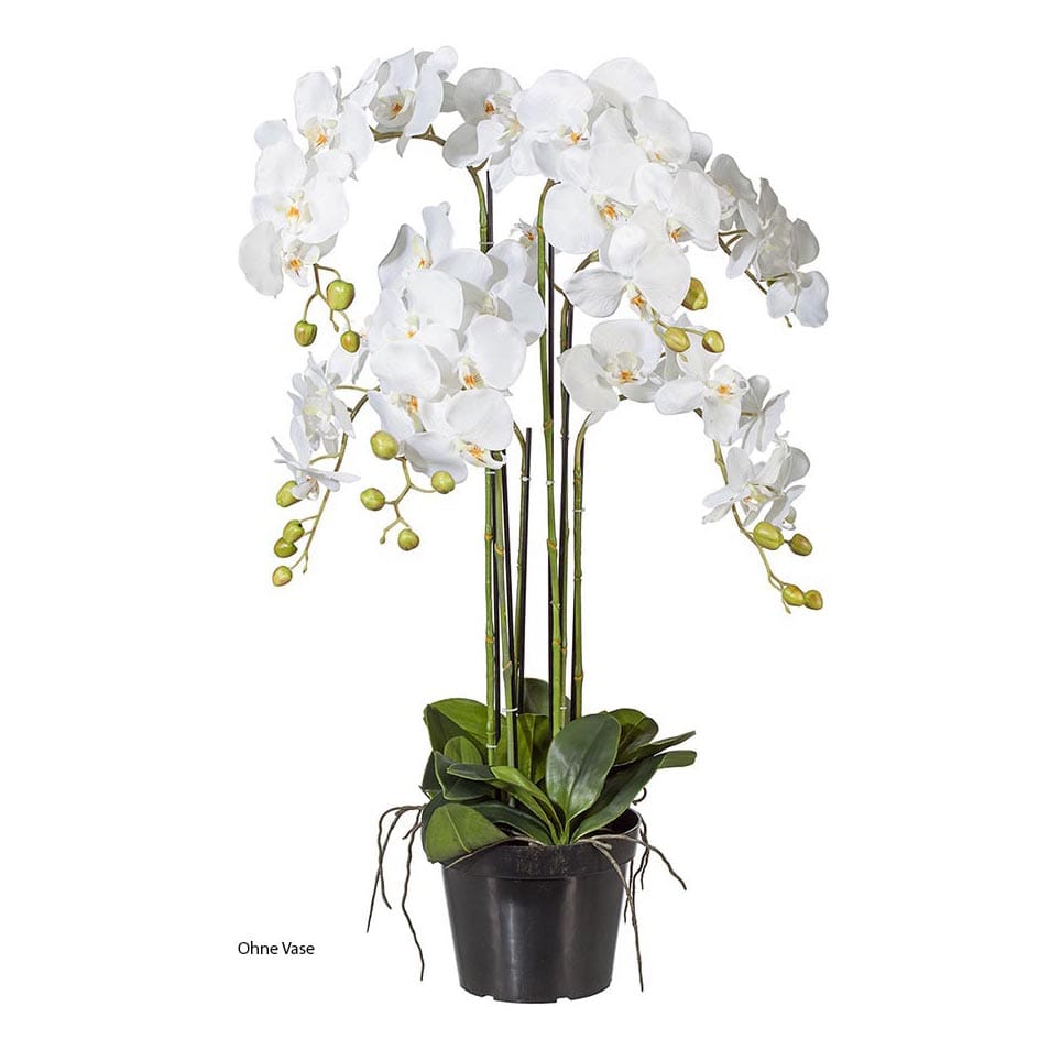 Kunstblume Orchidee – 70 cm, realistisch & pflegeleicht