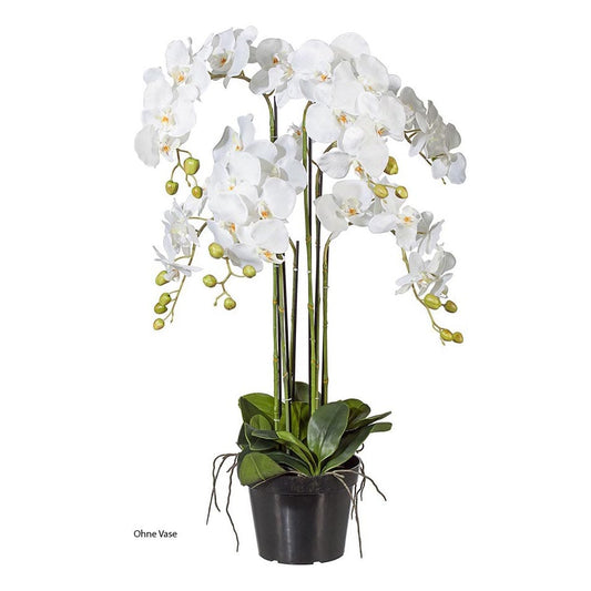 Kunstblume Orchidee – 70 cm, realistisch & pflegeleicht