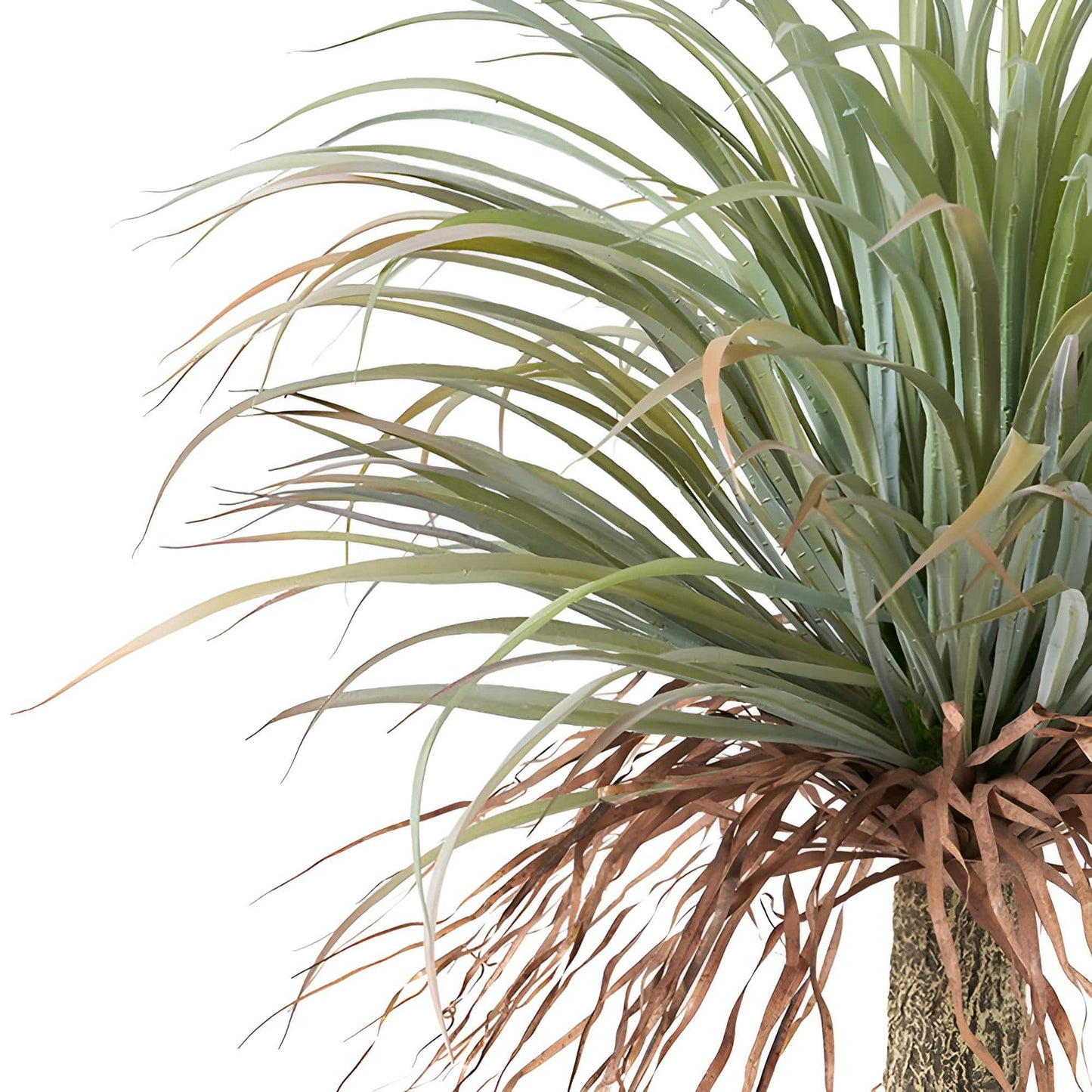 Künstliche Palme Homerops – 111 cm, pflegeleicht & naturgetreu