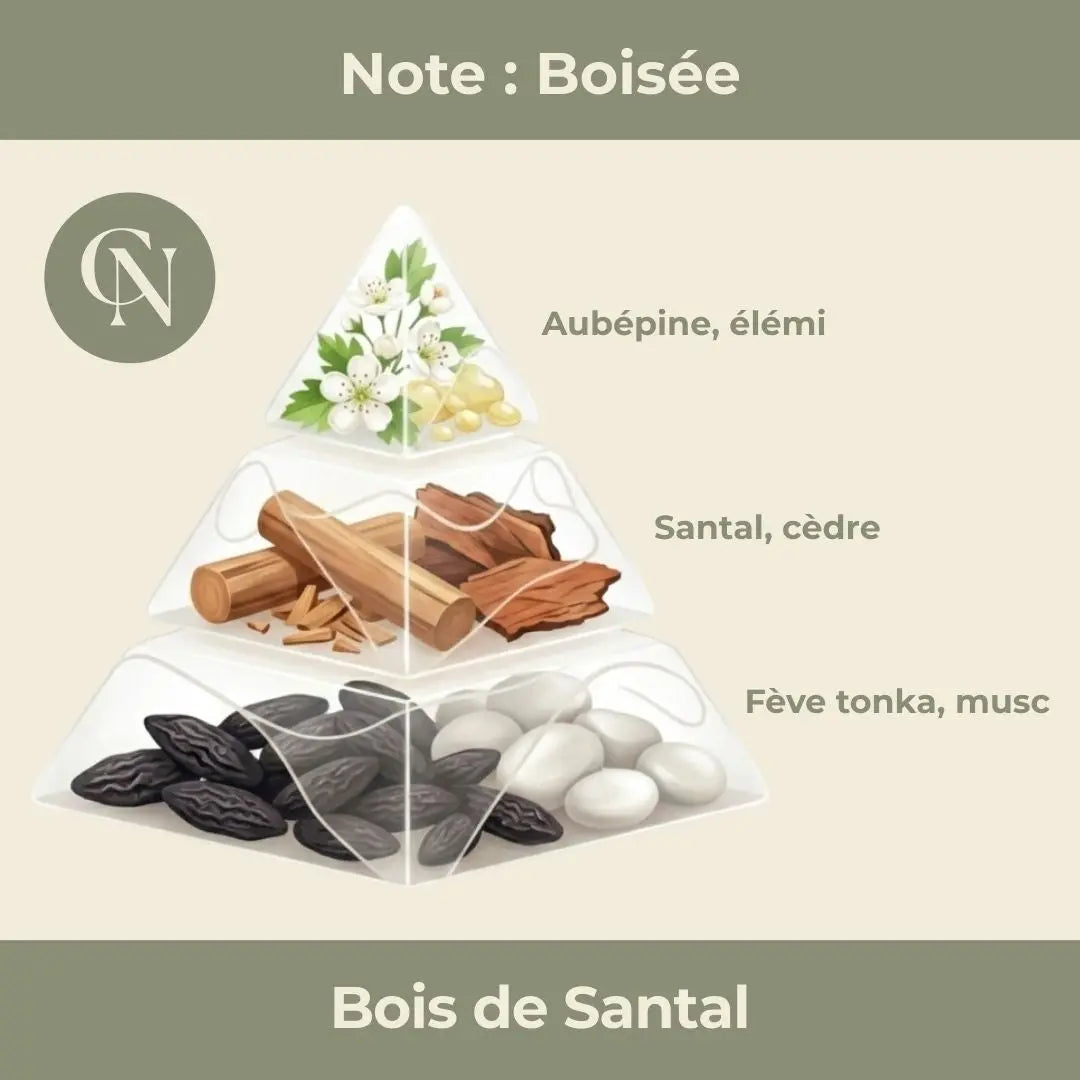 Bougie apothicaire Bois de Santal – Ancrage, chaleur & élégance intemporelle