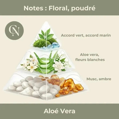 Bougie parfumée Aloé Vera – Pureté fraîche & douceur apaisante