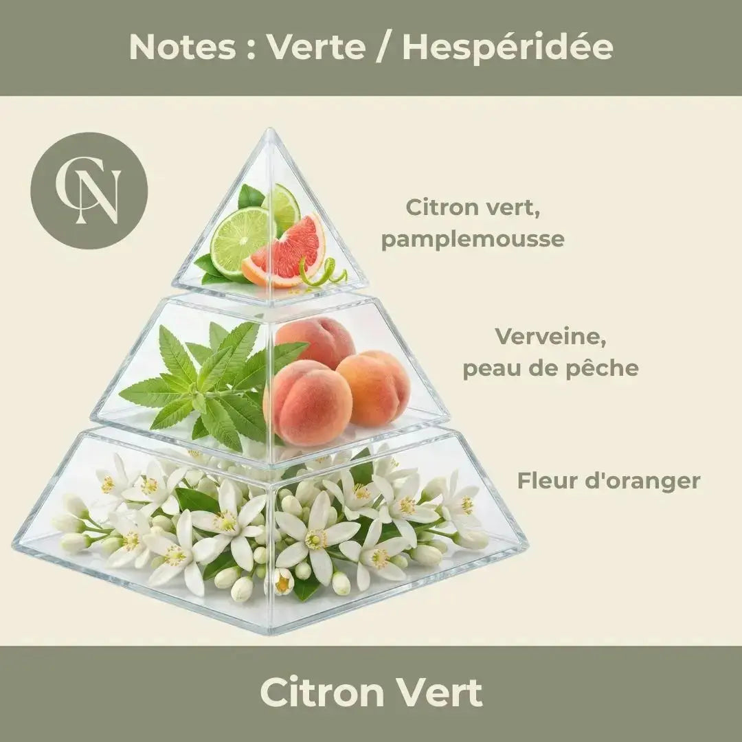 Bougie parfumée Citron Vert – Fraîcheur vive & énergie lumineuse