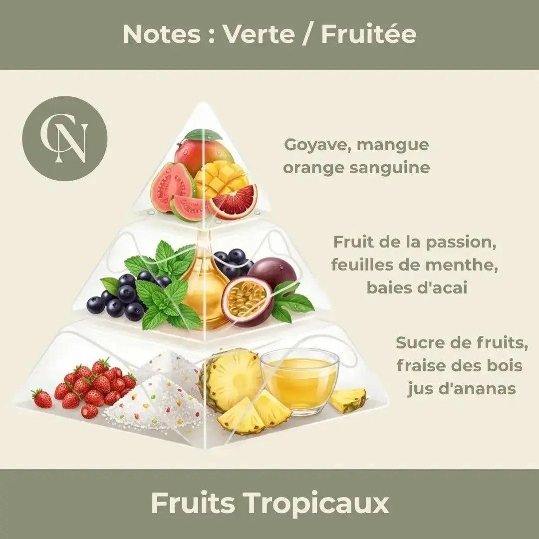 Bougie parfumée Fruits Tropicaux – Énergie solaire & gourmandise exotique