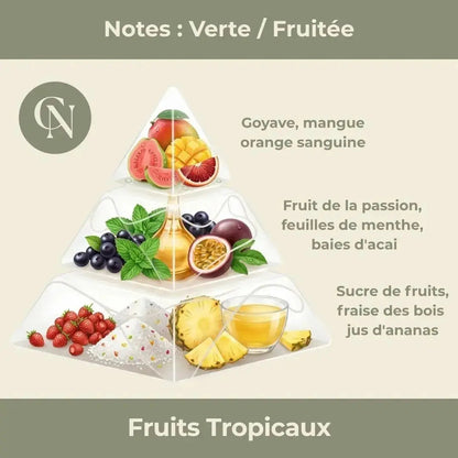 Bougie parfumée Fruits Tropicaux – Énergie solaire & gourmandise exotique