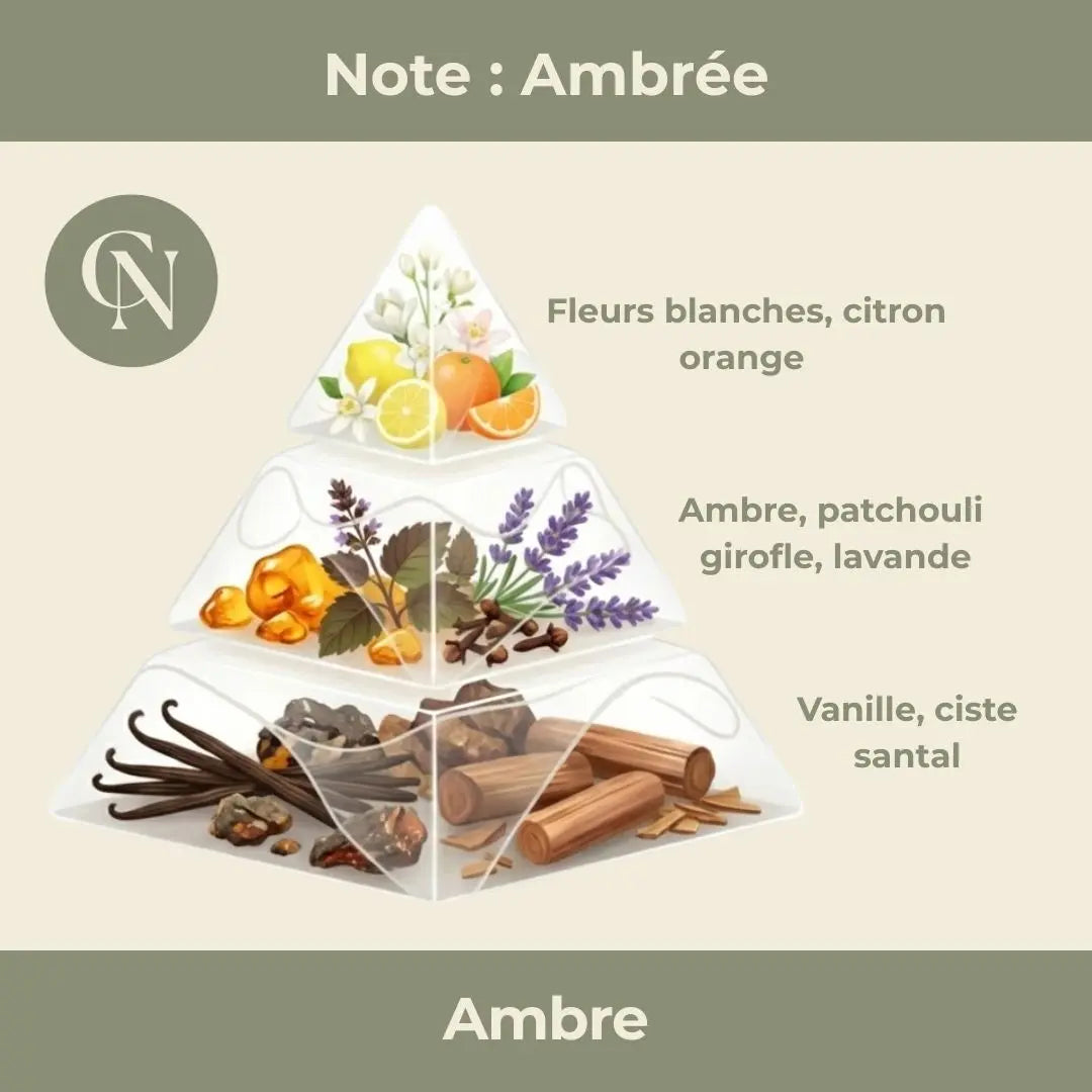 Bougie parfumée Ambre – Chaleur enveloppante & élégance intemporelle
