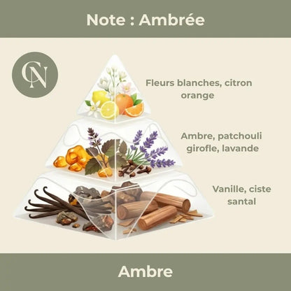 Bougie parfumée Ambre – Chaleur enveloppante & élégance intemporelle