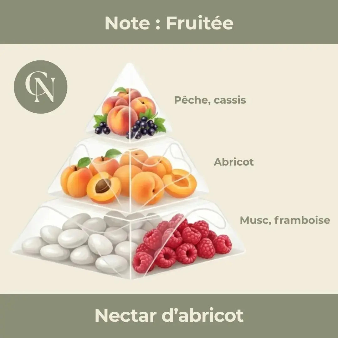 Bougie parfumée Nectar d’Abricot – Douceur solaire & gourmandise lumineuse