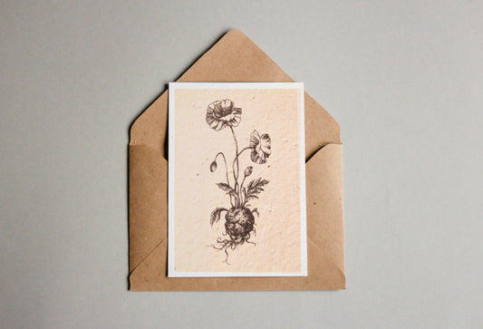 Postkarten aus Samenpapier - Andrea Noti