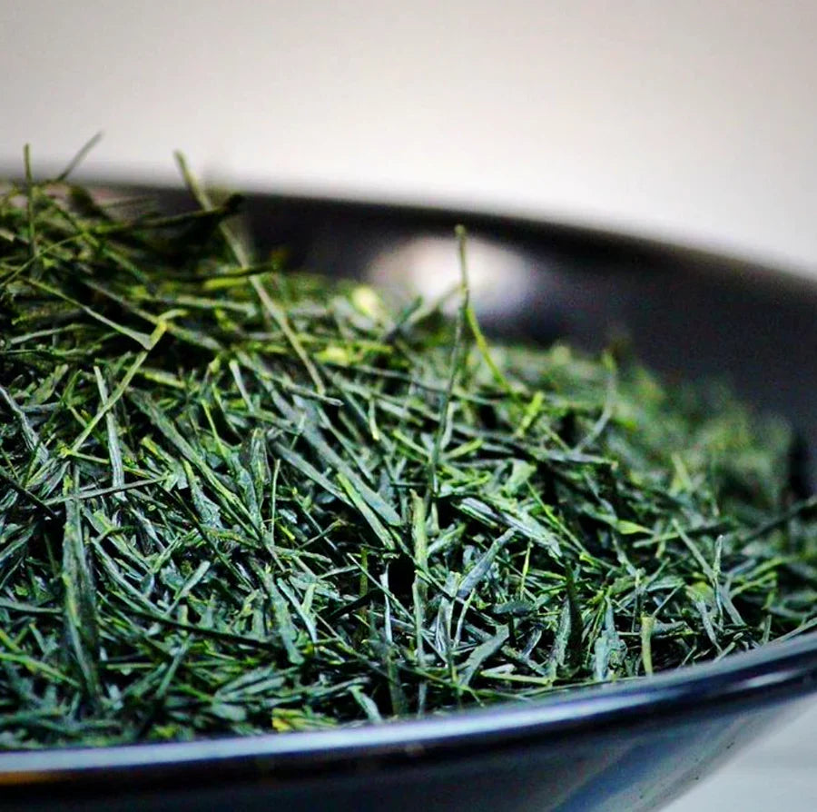 Thé Vert Shincha BIO ( Sencha de première récolte)