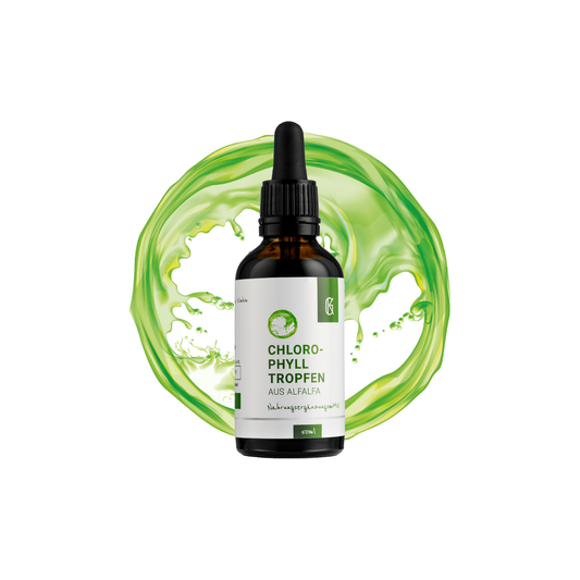 Chlorophylltropfen aus Alfalfa
