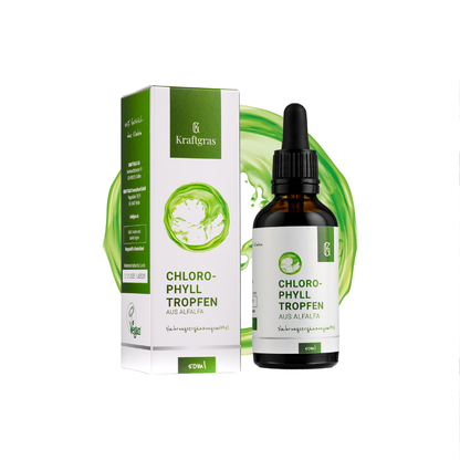 Chlorophylltropfen aus Alfalfa