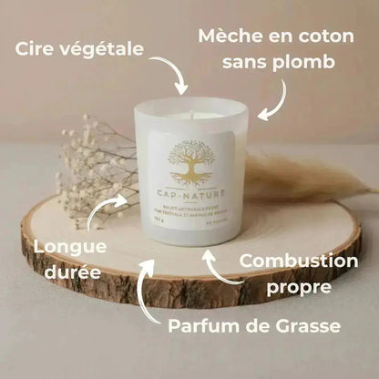Bougie parfumée Fruits Tropicaux – Énergie solaire & gourmandise exotique
