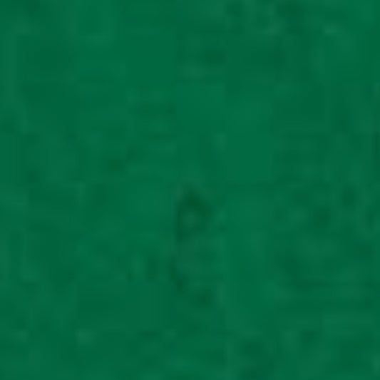 Glorex Filz-Zuschnitte 20 × 30 cm 0,8-1 mm Grasgrün