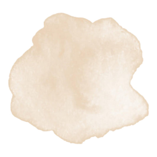Tombow ABT Dual Brush Pen 942 Cappuccino