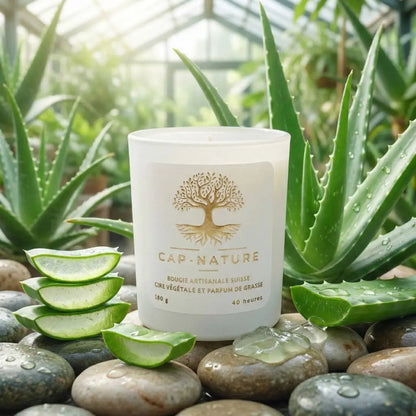 Bougie parfumée Aloé Vera – Pureté fraîche & douceur apaisante