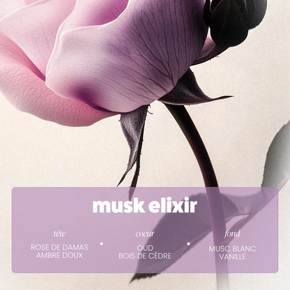 Déodorant Musk Elixir - Paalm Cosmetics