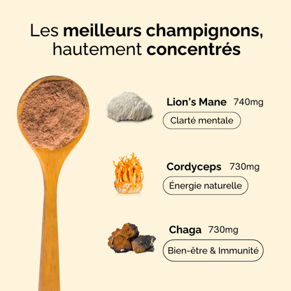 Bonjour Coffee Flavor – Functional Mushroom Coffee (Low Caffeine)