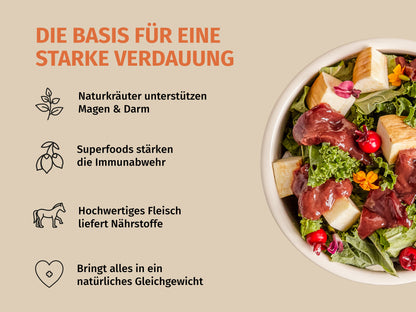 Sensitive-Bundle Pferd zur gezielten Unterstützung bei Magen-Darm-Problemen